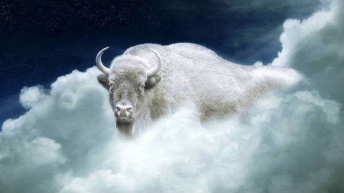 белый бык с рогами во сне