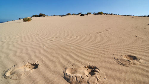 следы в песчаной пустыне