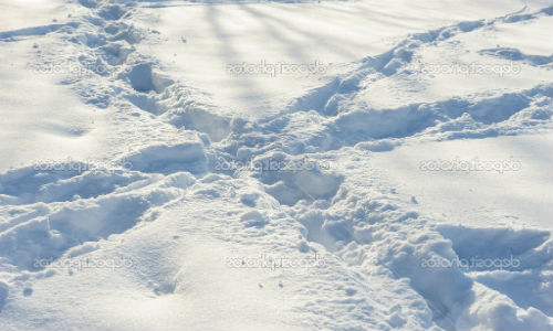  Белый снег толкование сонника