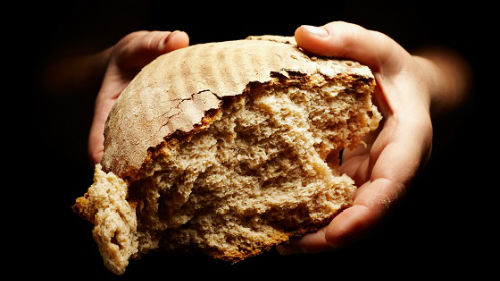 кусок хлеба давать