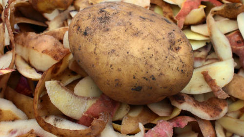 картофельные очистки