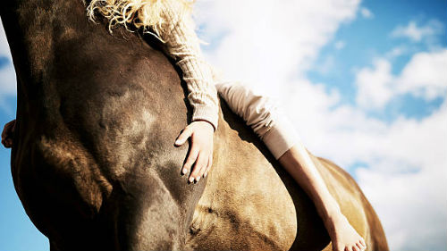 девушка катается на рыжей лошади