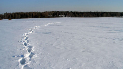 сонник следы от обуви на снегу