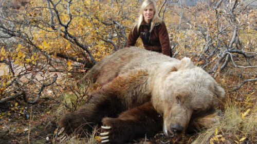 к чему снятся медведи женщине нападают